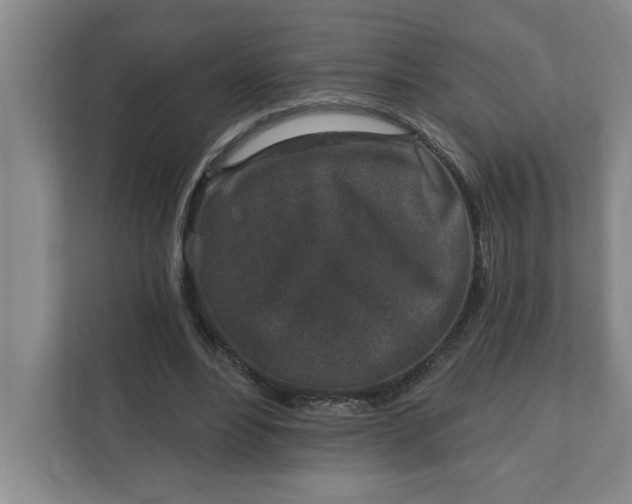 X0000112390488200908271343