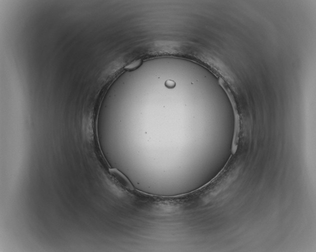 X0000112390489200908271343