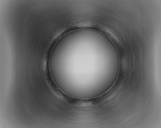 X0000112390491200908271343