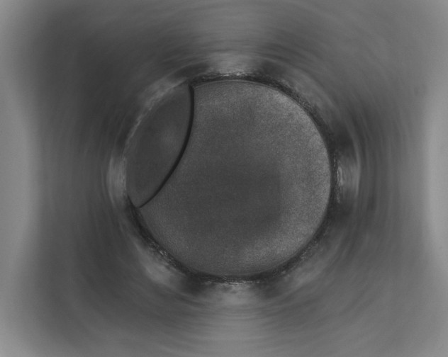 X0000112390492200908271343