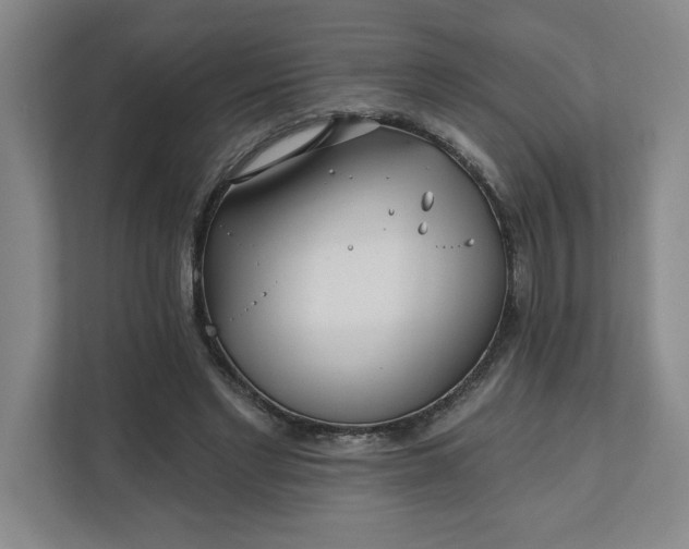 X0000112390493200908271343