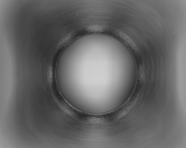 X0000112390494200908271343