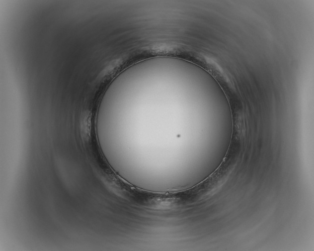 X0000112390495200908271343