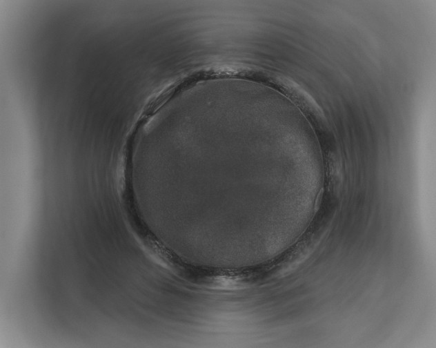 X0000112390496200908271343