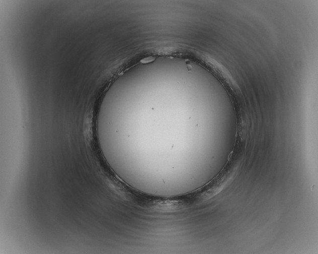 X0000112390497200908271343