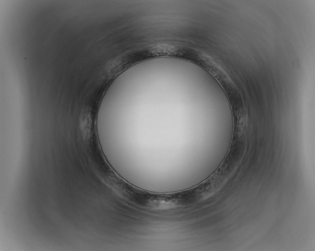 X0000112390498200908271342