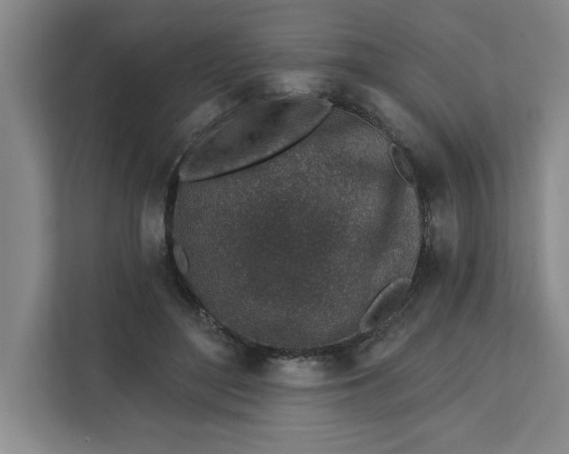 X0000112390500200908271342