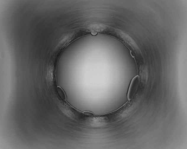 X0000112390501200908271342