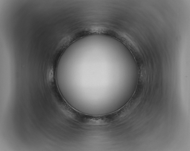 X0000112390502200908271342