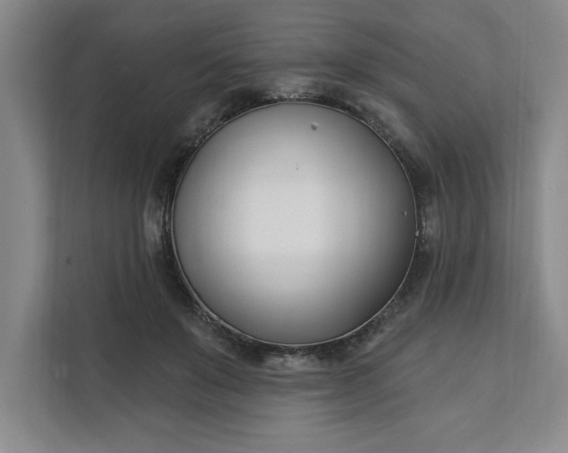 X0000112390503200908271342