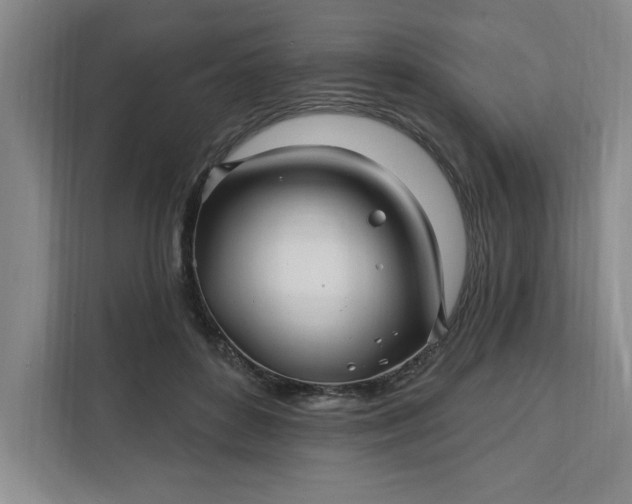 X0000112390504200908271342