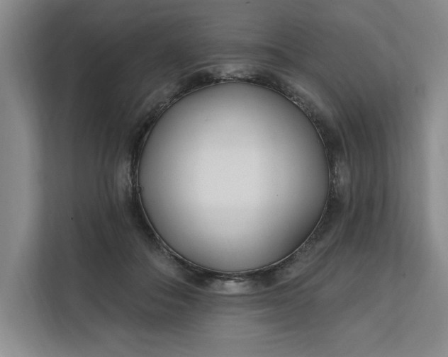 X0000112390506200908271342