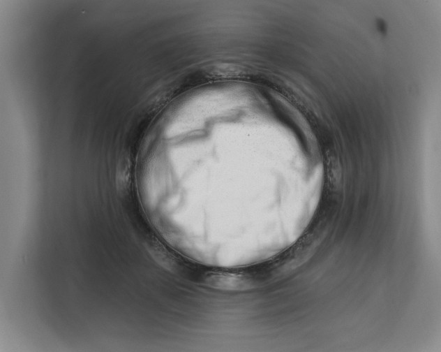 X0000112390507200908271342