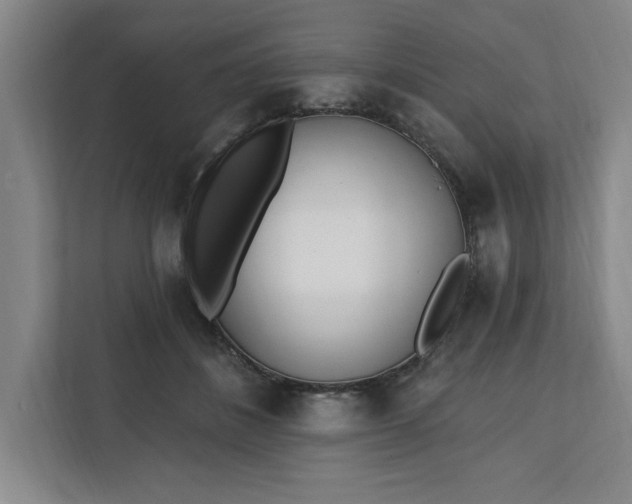 X0000112390508200908271342