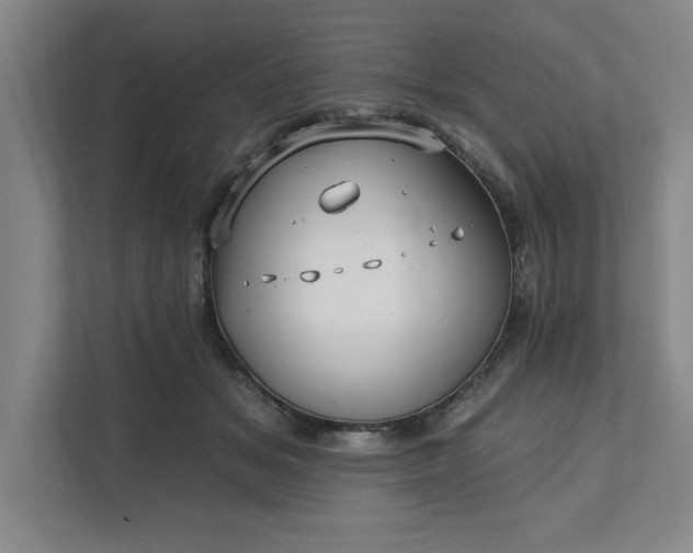 X0000112390509200908271342