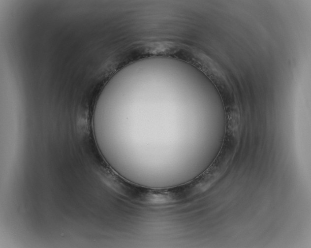 X0000112390510200908271342