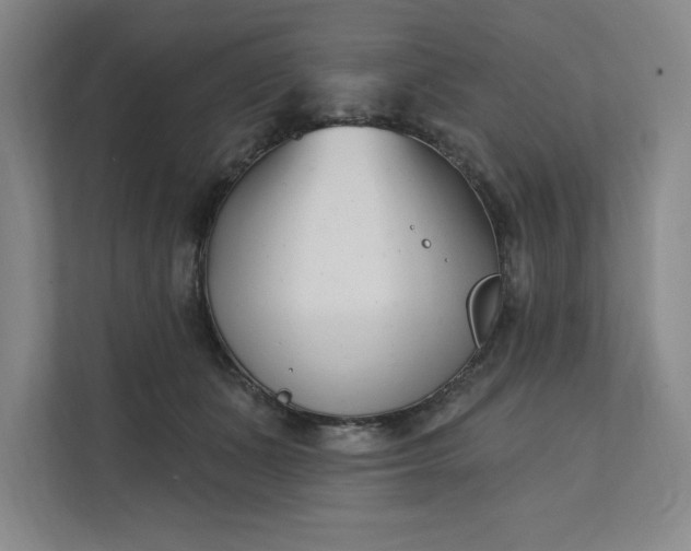 X0000112390511200908271342