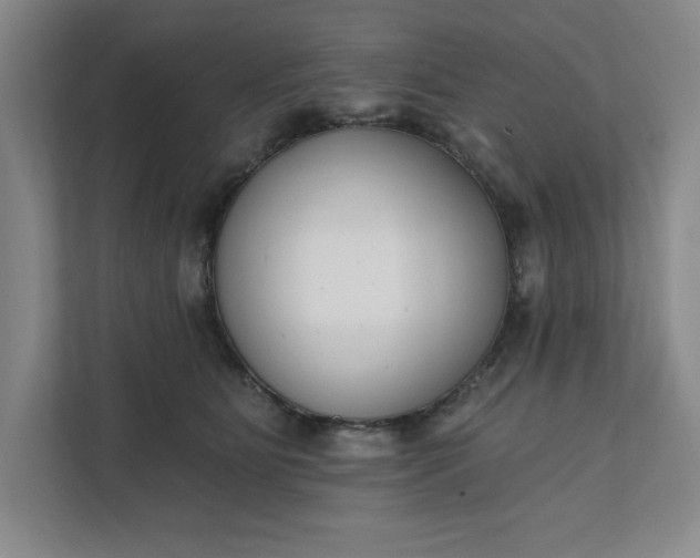 X0000112390515200908271342