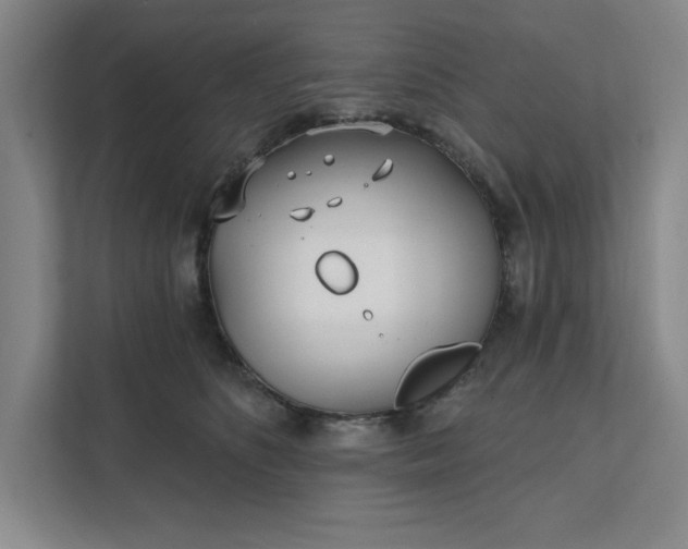 X0000112390516200908271342