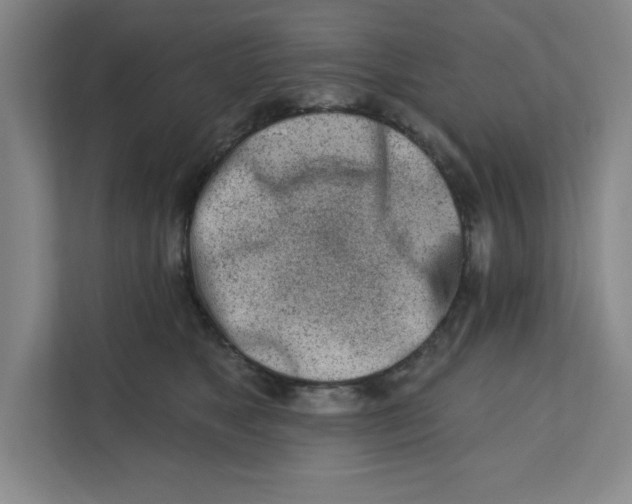 X0000112390517200908271342