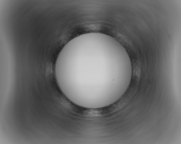 X0000112390518200908271342