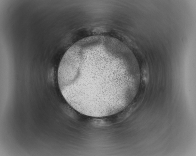 X0000112390519200908271342