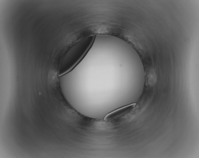 X0000112390521200908271342