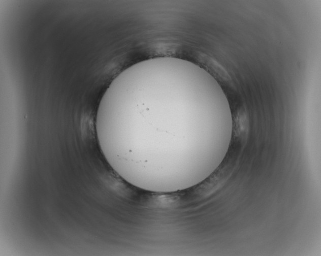 X0000112390522200908271342