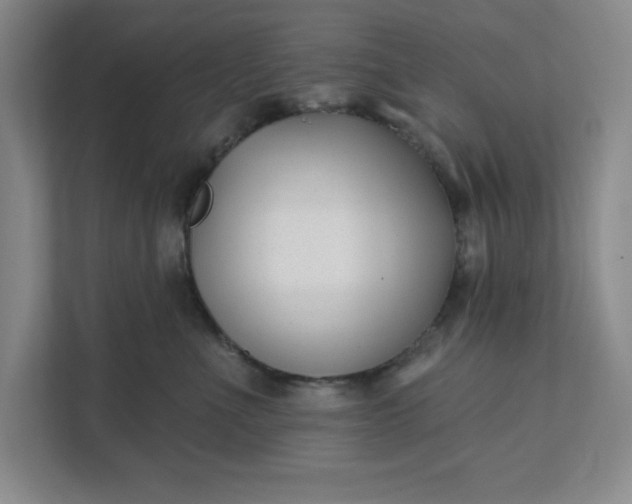 X0000112390523200908271342