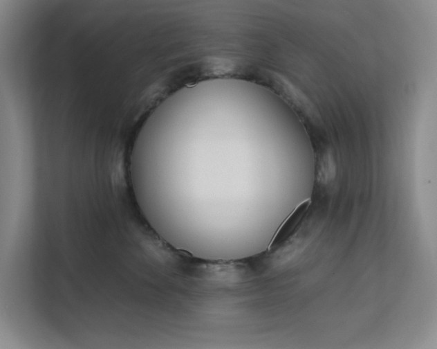 X0000112390524200908271342