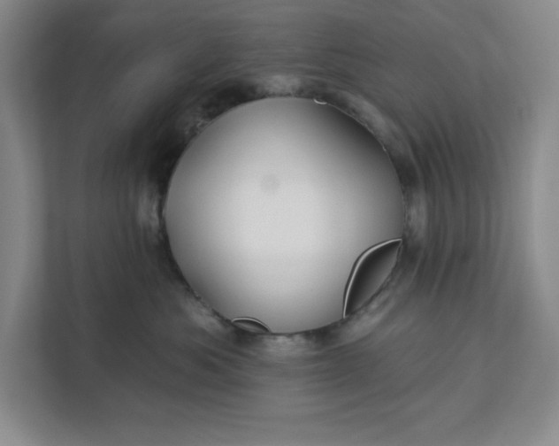 X0000112390525200908271342