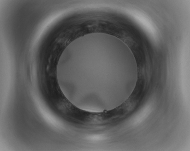 X0000112390526200908271342