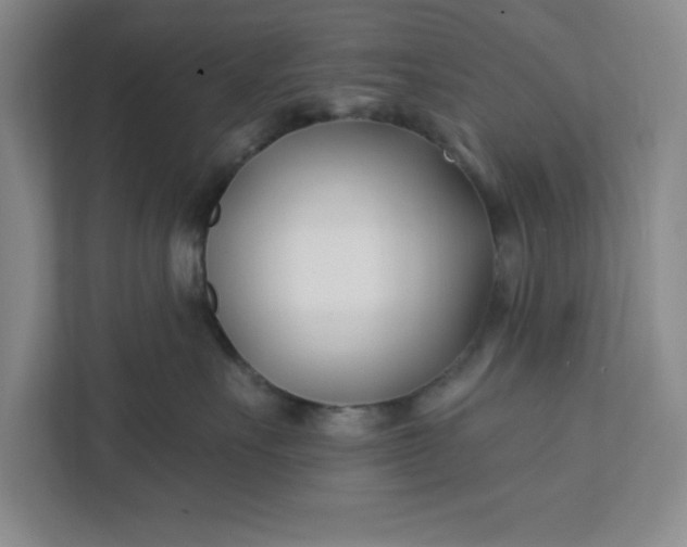 X0000112390527200908271342