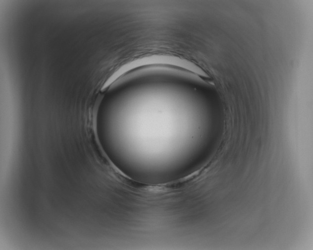 X0000112390528200908271342