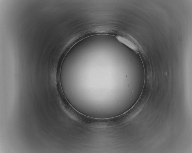 X0000112390530200908271341