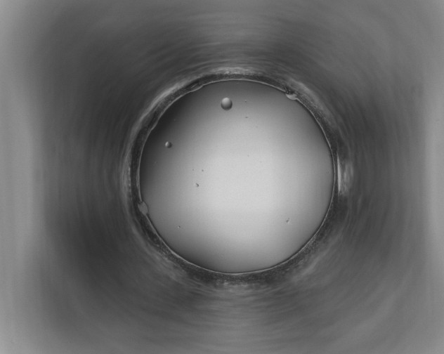 X0000112390531200908271341