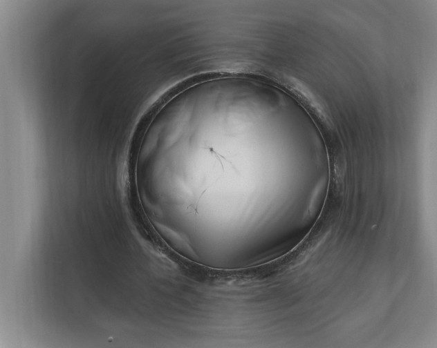 X0000112390532200908271342