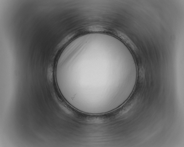 X0000112390533200908271342