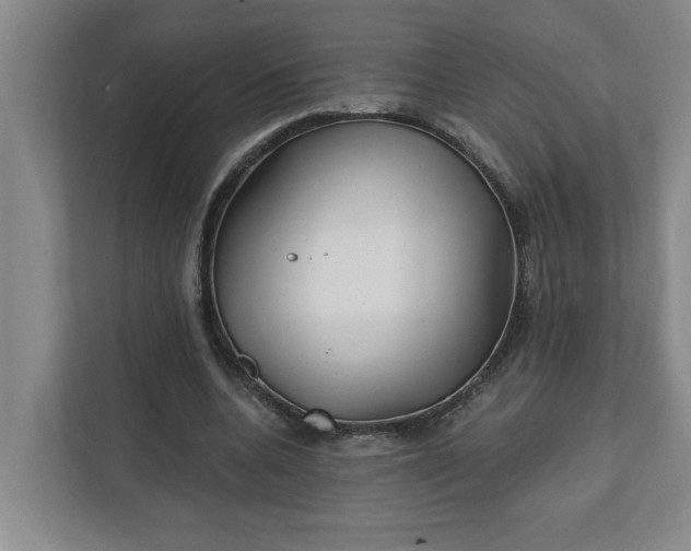 X0000112390536200908271342