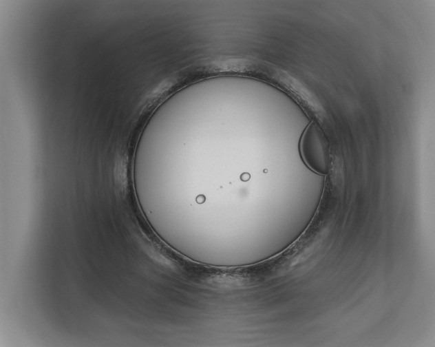 X0000112390537200908271342