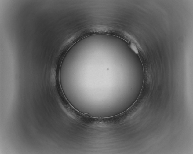 X0000112390538200908271342