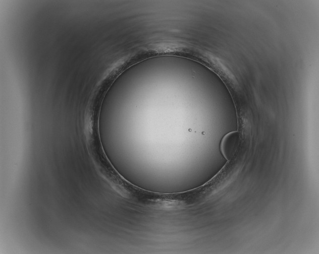 X0000112390539200908271342