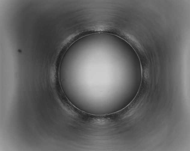 X0000112390540200908271342