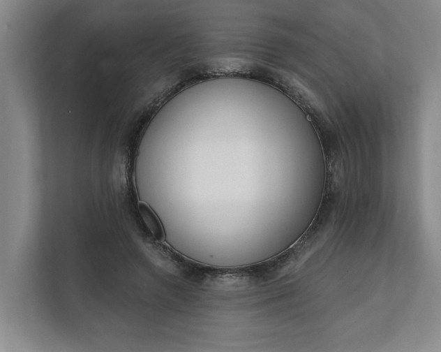 X0000112390546200908271342