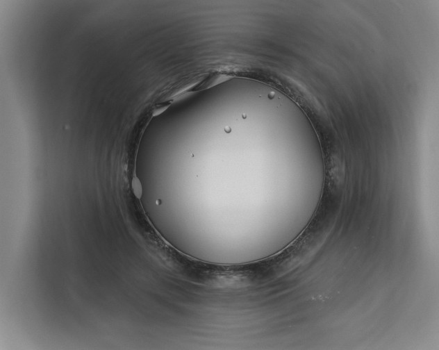 X0000112390547200908271342