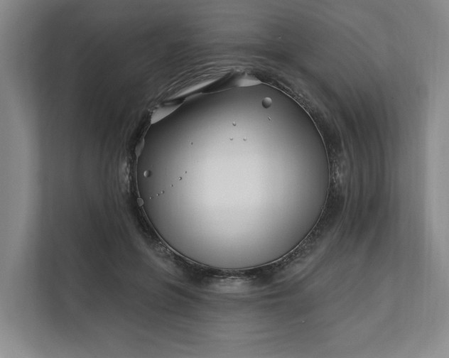 X0000112390551200908271342