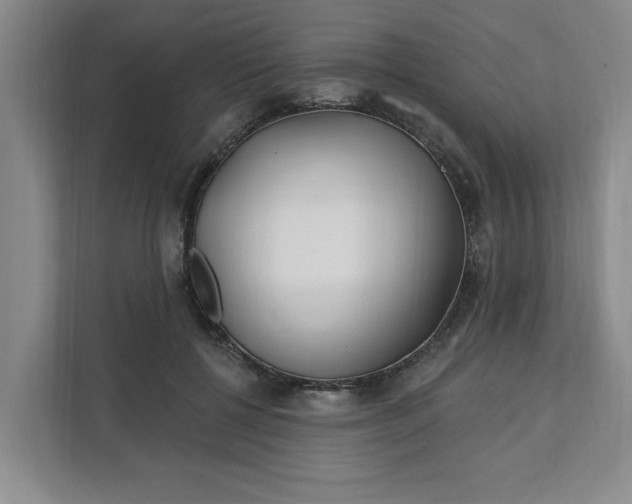 X0000112390552200908271342