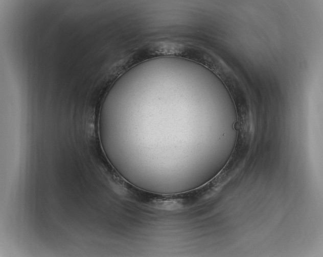 X0000112390553200908271342