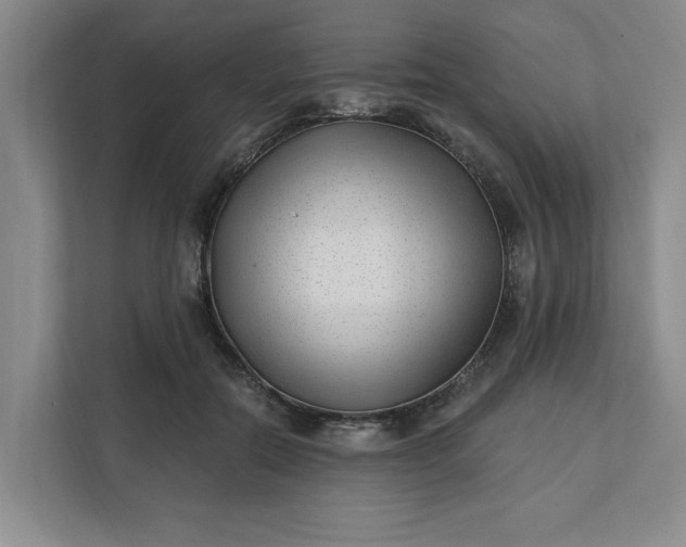 X0000112390554200908271342