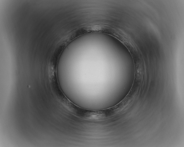 X0000112390555200908271342